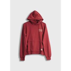 NEW IRON & RESIN men's stay cool hoodie in marsala